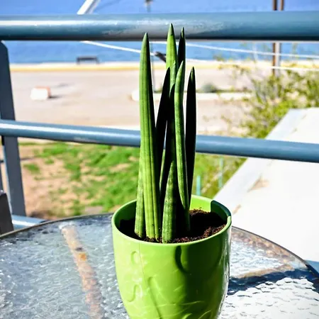 νηρηίδες So Blue * Αρκίτσα