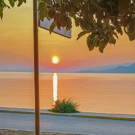 νηρηίδες So Blue * Arkítsa